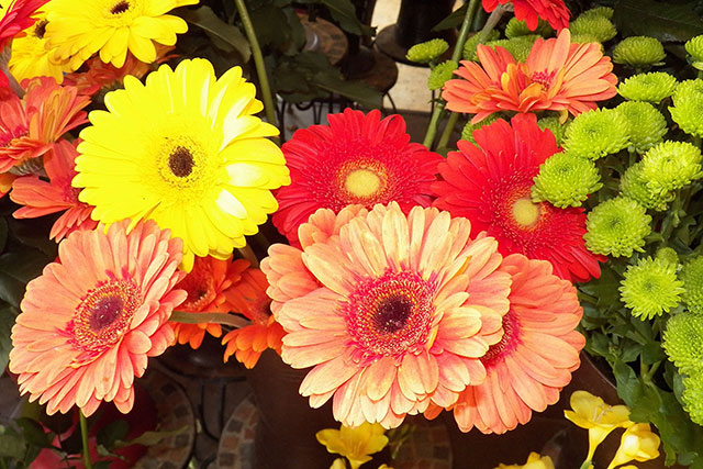 bestflowers_Blumen